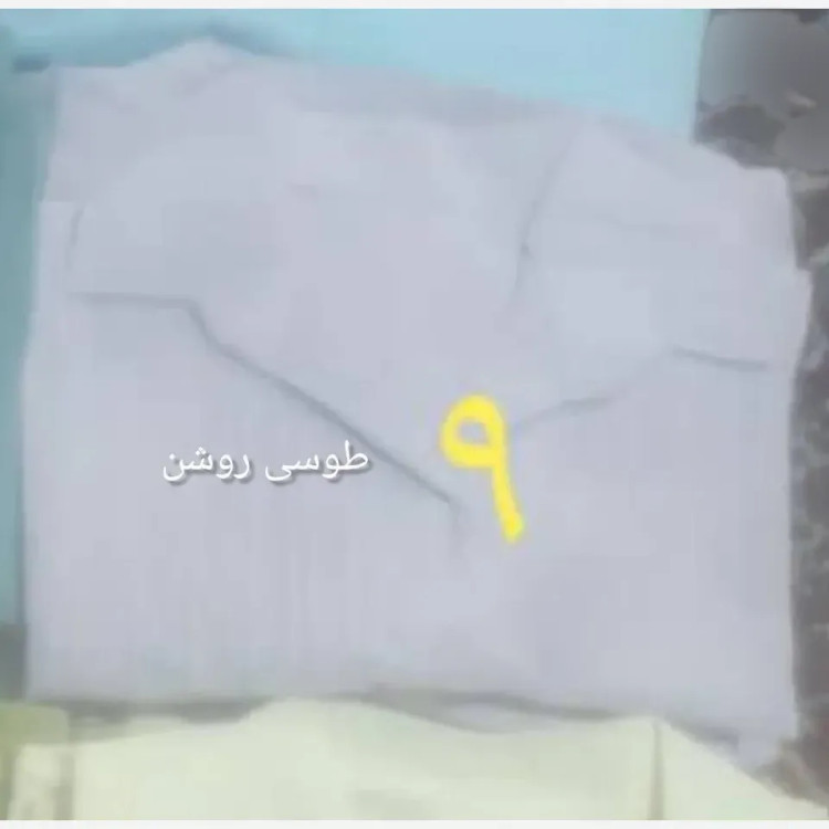 شومیز کراپ باکسی زنانه جنس آیوا پلاس فری سایز تا 48